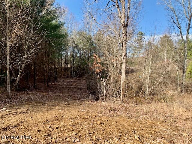 00 Hebbertsburg Road Crab Orchard TN 37723
