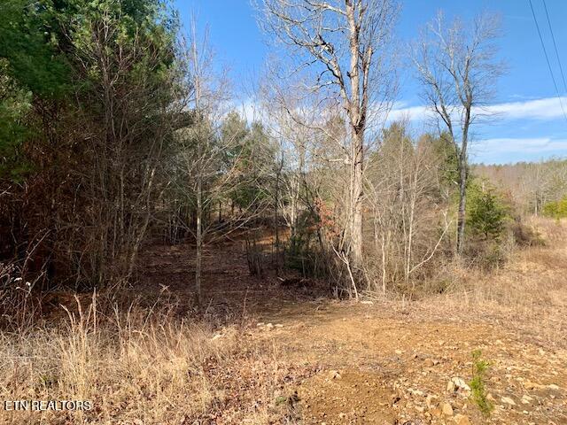 00 Hebbertsburg Road Crab Orchard TN 37723
