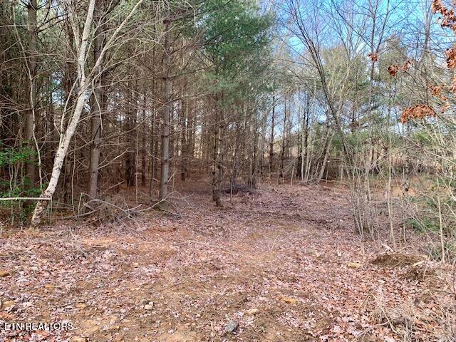00 Hebbertsburg Road Crab Orchard TN 37723