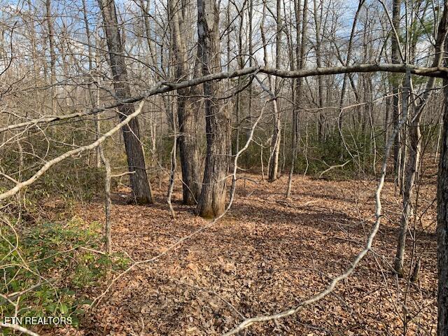 00 Hebbertsburg Road Crab Orchard TN 37723