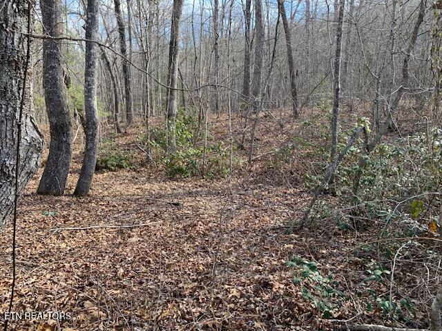 00 Hebbertsburg Road Crab Orchard TN 37723