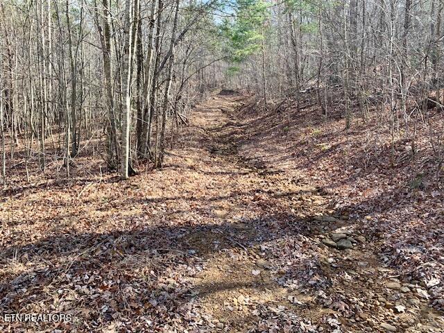 00 Hebbertsburg Road Crab Orchard TN 37723