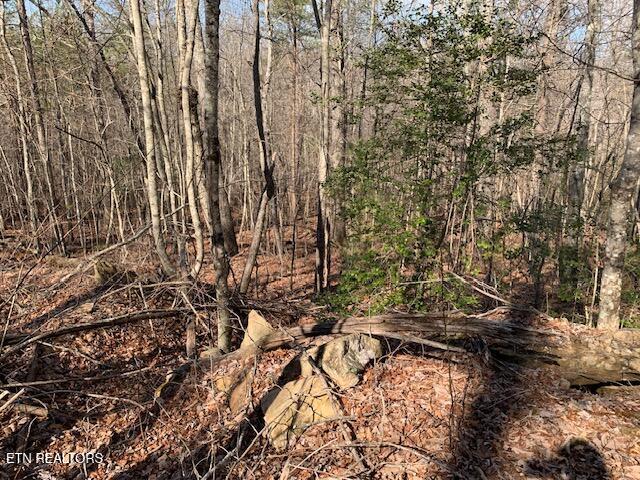 00 Hebbertsburg Road Crab Orchard TN 37723