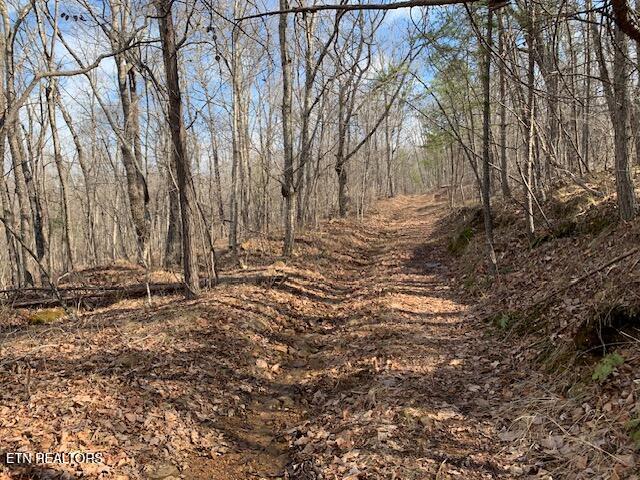 00 Hebbertsburg Road Crab Orchard TN 37723
