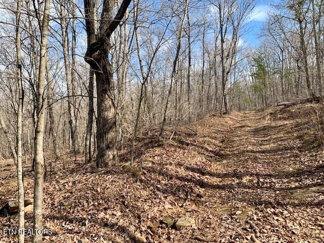 00 Hebbertsburg Road Crab Orchard TN 37723