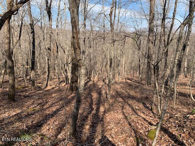 00 Hebbertsburg Road Crab Orchard TN 37723