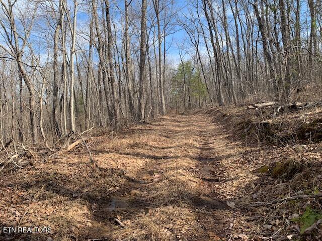 00 Hebbertsburg Road Crab Orchard TN 37723