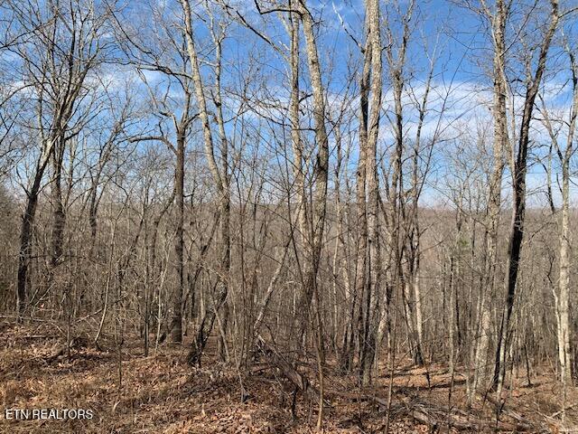 00 Hebbertsburg Road Crab Orchard TN 37723