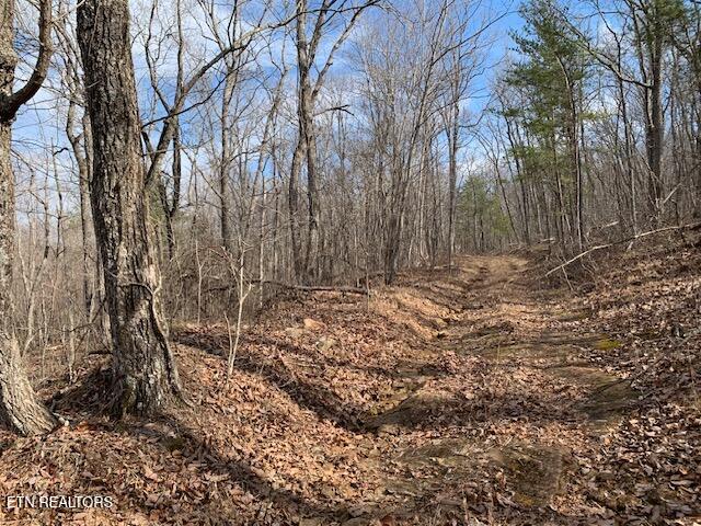 00 Hebbertsburg Road Crab Orchard TN 37723