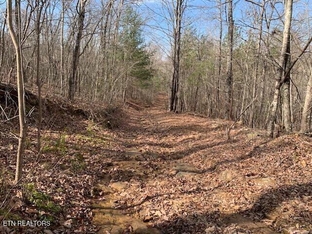 00 Hebbertsburg Road Crab Orchard TN 37723