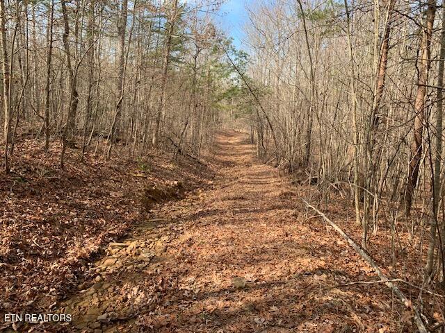 00 Hebbertsburg Road Crab Orchard TN 37723