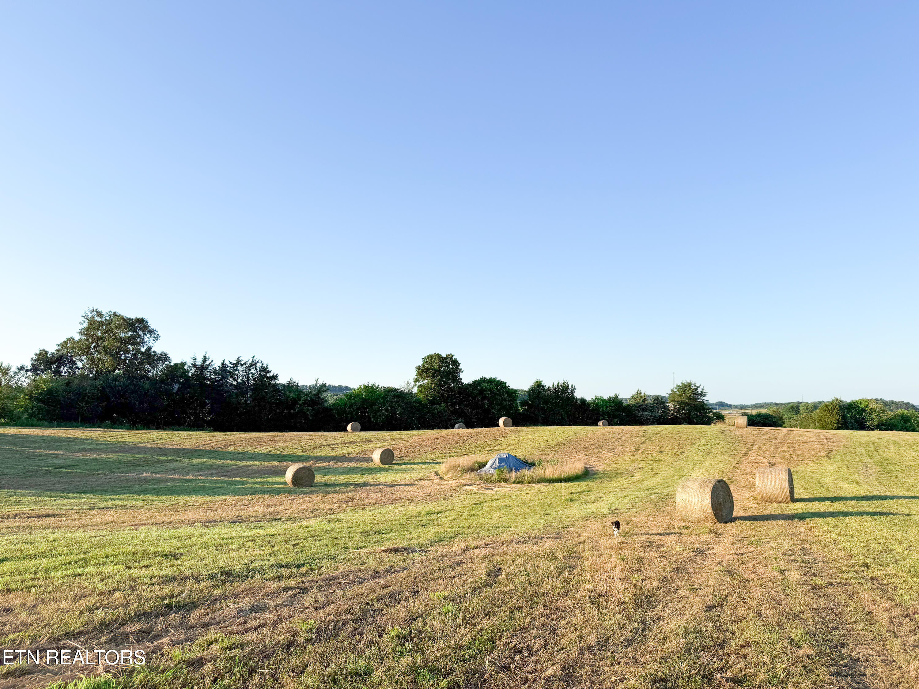 Lot 13 Summerset Drive Talbott TN 37877