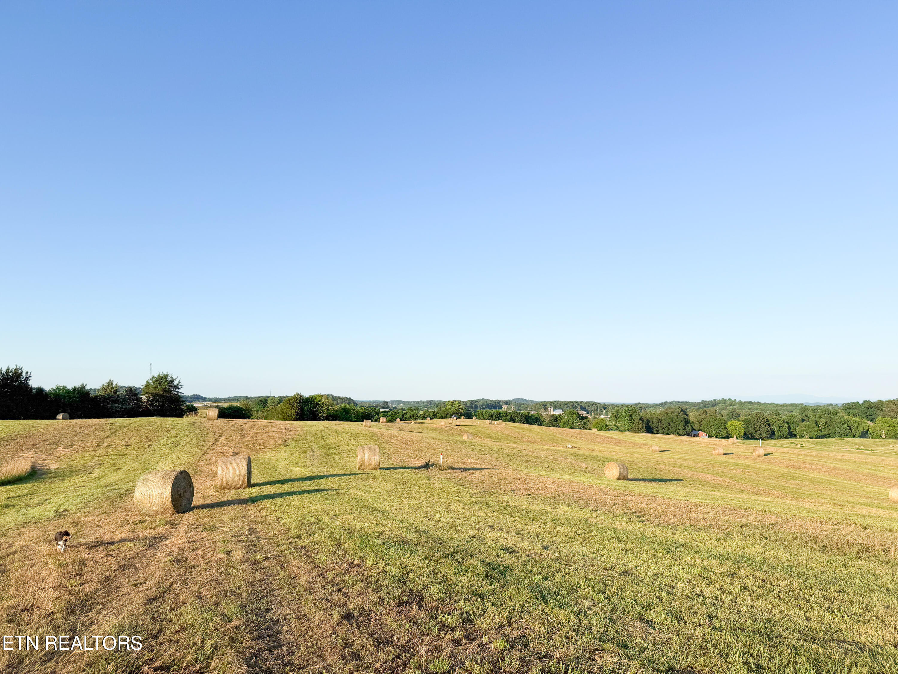 Lot 13 Summerset Drive Talbott TN 37877