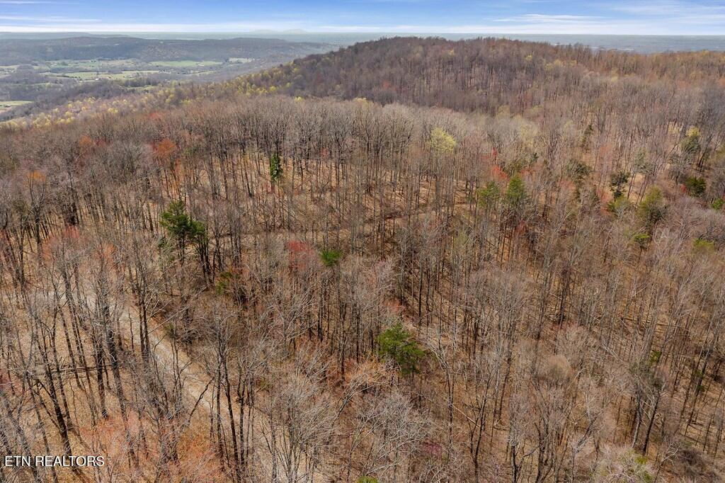 0 White Oak Flatt Road Sparta TN 38583
