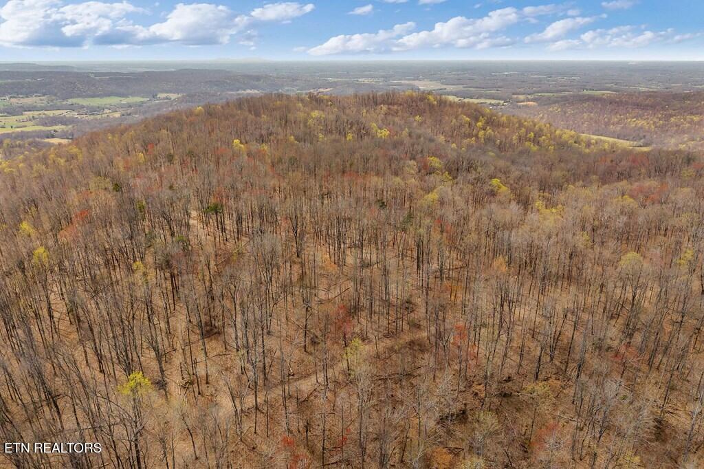0 White Oak Flatt Road Sparta TN 38583