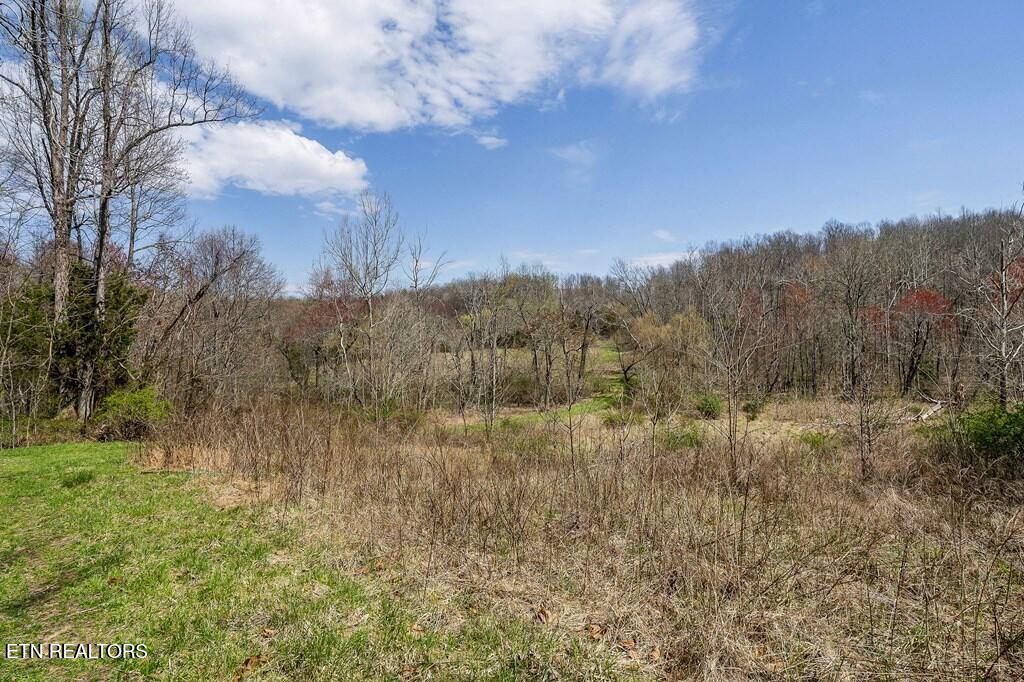 0 White Oak Flatt Road Sparta TN 38583