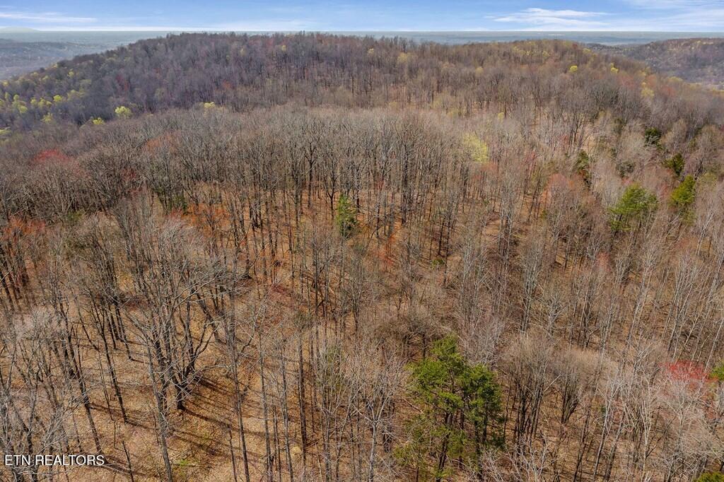 0 White Oak Flatt Road Sparta TN 38583