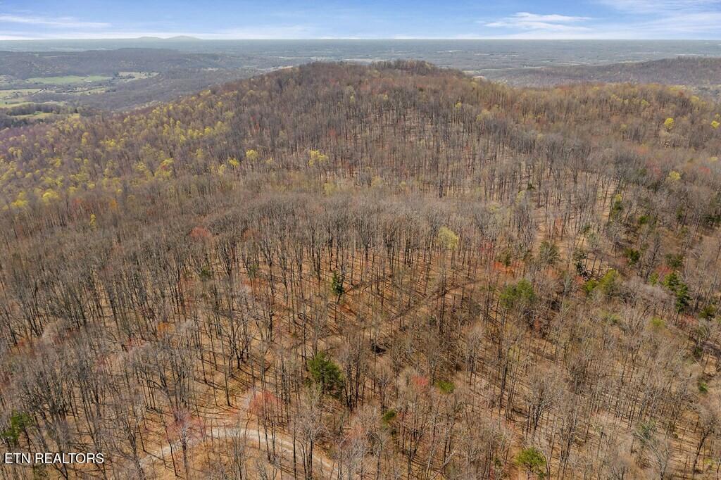 0 White Oak Flatt Road Sparta TN 38583