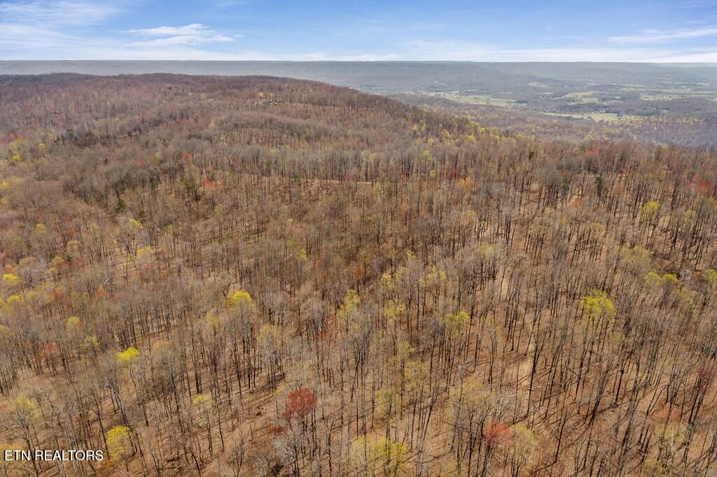 0 White Oak Flatt Road Sparta TN 38583