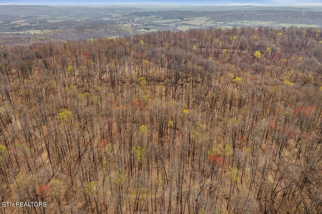 0 White Oak Flatt Road Sparta TN 38583