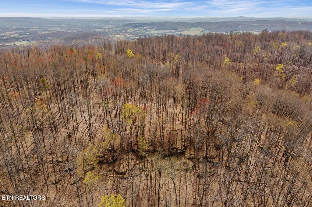 0 White Oak Flatt Road Sparta TN 38583