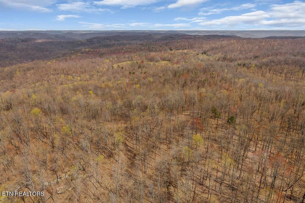 0 White Oak Flatt Road Sparta TN 38583