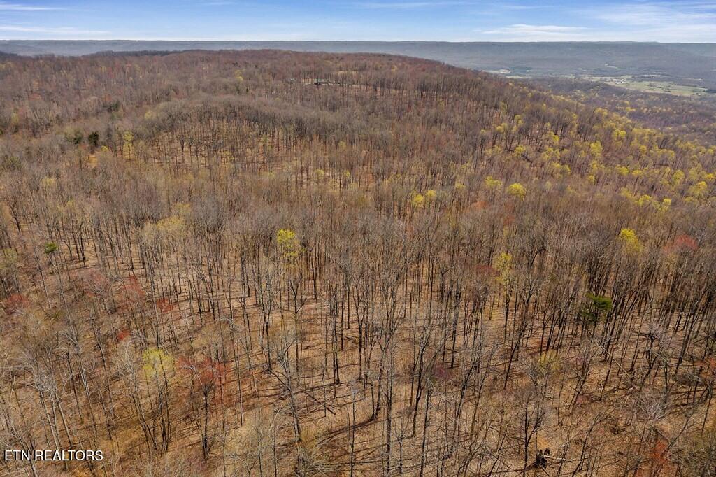 0 White Oak Flatt Road Sparta TN 38583