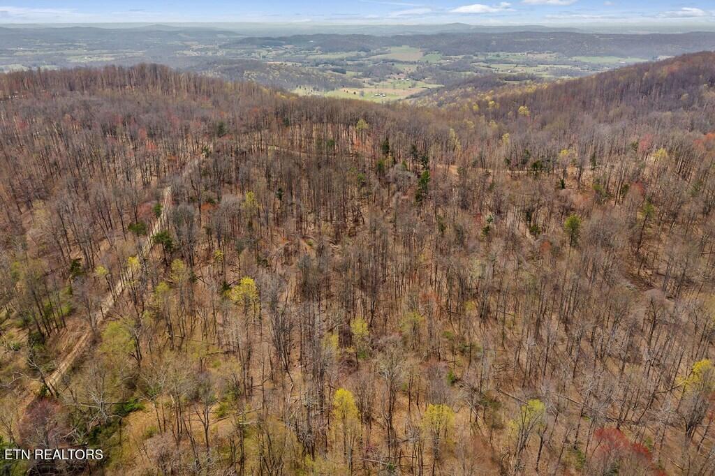 0 White Oak Flatt Road Sparta TN 38583