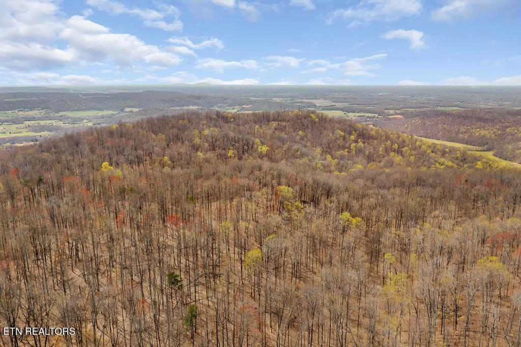 0 White Oak Flatt Road Sparta TN 38583