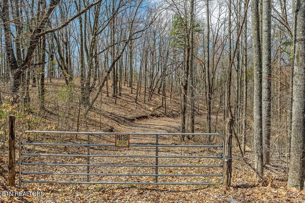 0 White Oak Flatt Road Sparta TN 38583