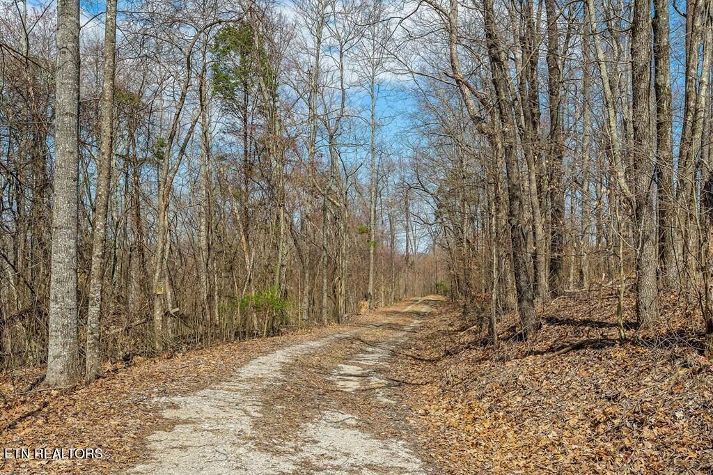 0 White Oak Flatt Road Sparta TN 38583