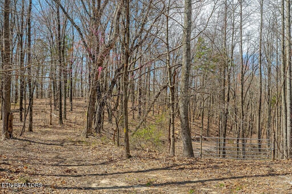 0 White Oak Flatt Road Sparta TN 38583