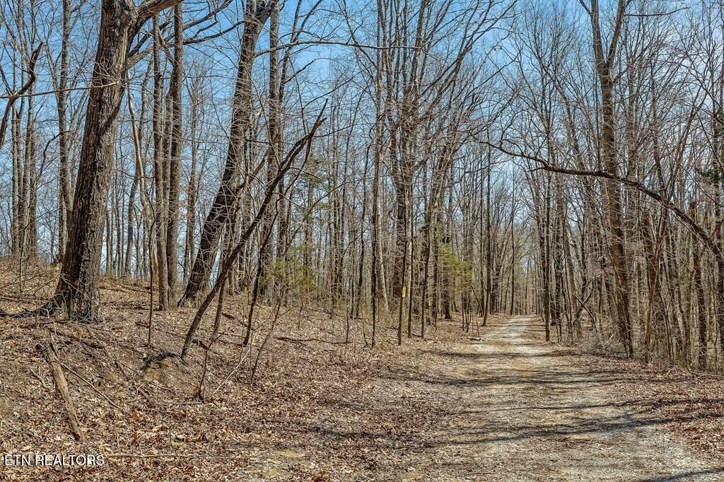 0 White Oak Flatt Road Sparta TN 38583