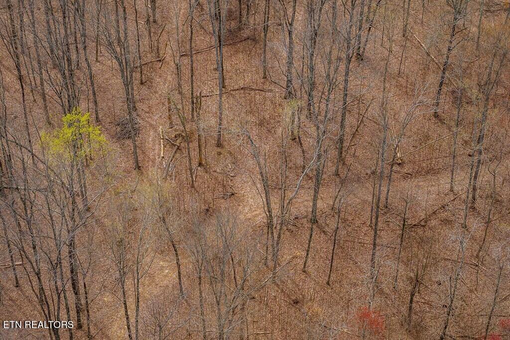 0 White Oak Flatt Road Sparta TN 38583