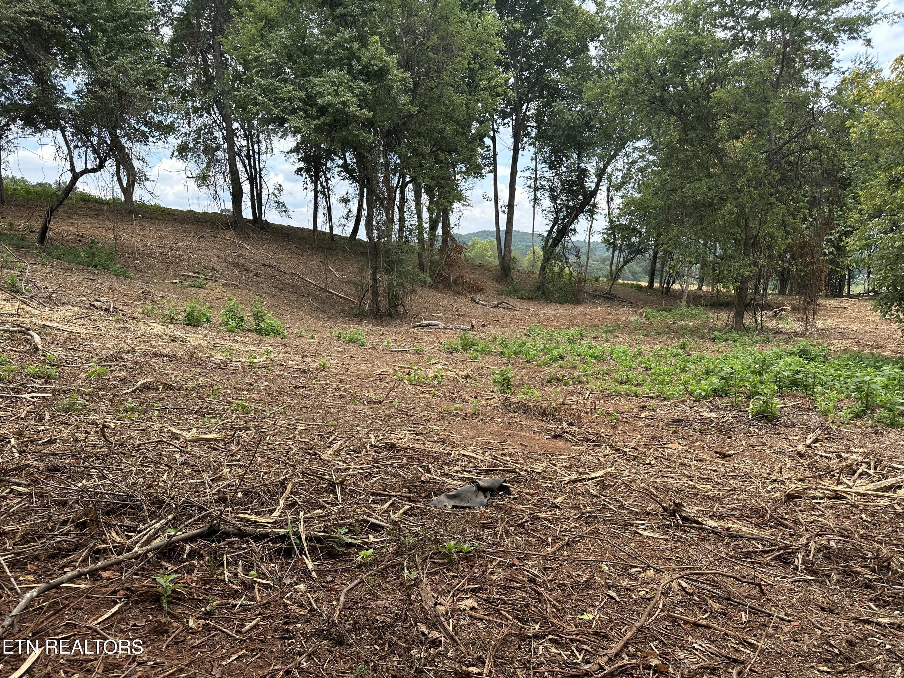 4802 Old Dogwood Trail Loudon TN 37774