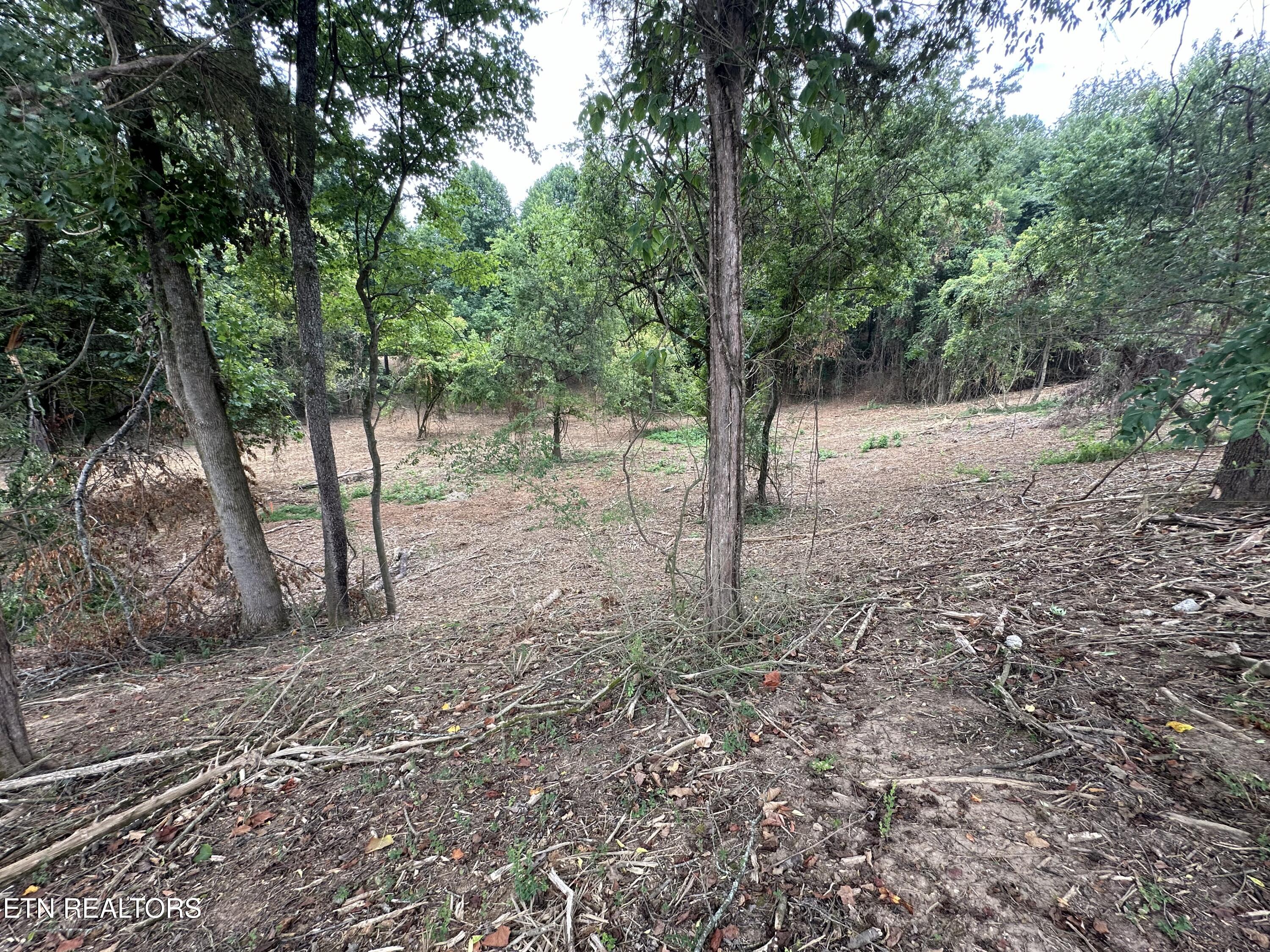 4802 Old Dogwood Trail Loudon TN 37774
