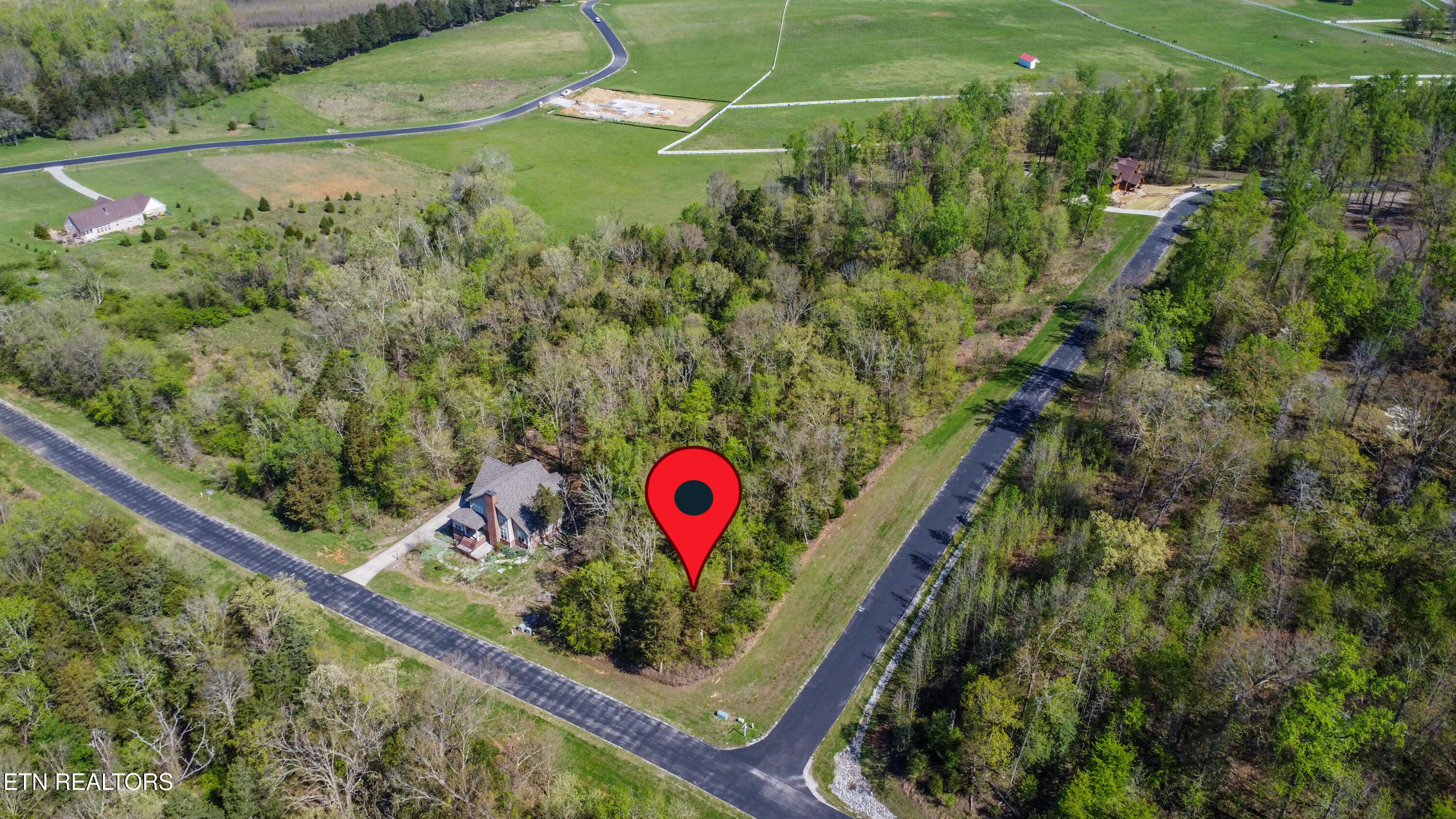 359 Walking Horse Trail Rockwood TN 37854