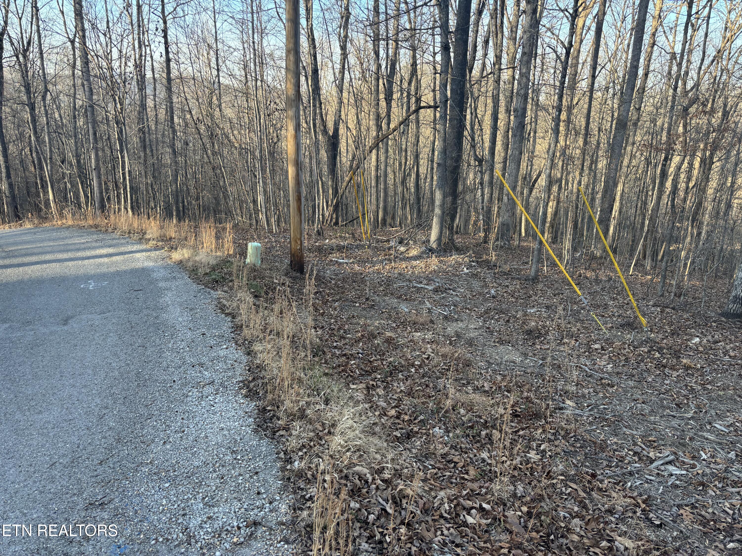 Kay Drive Lafollette TN 37766