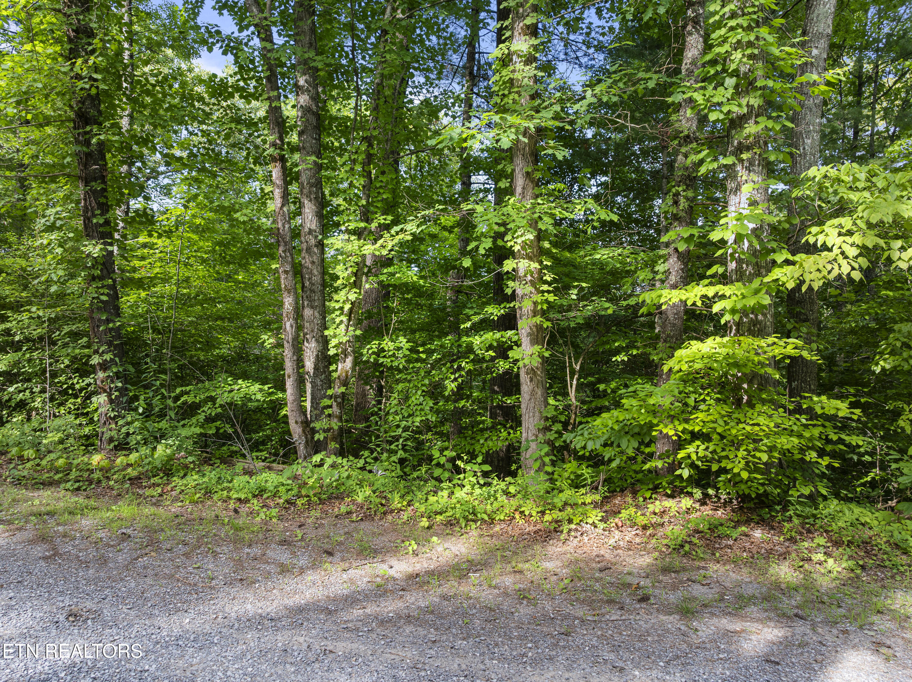 Tbd Grouse Top (lot 4) Road Walland TN 37886