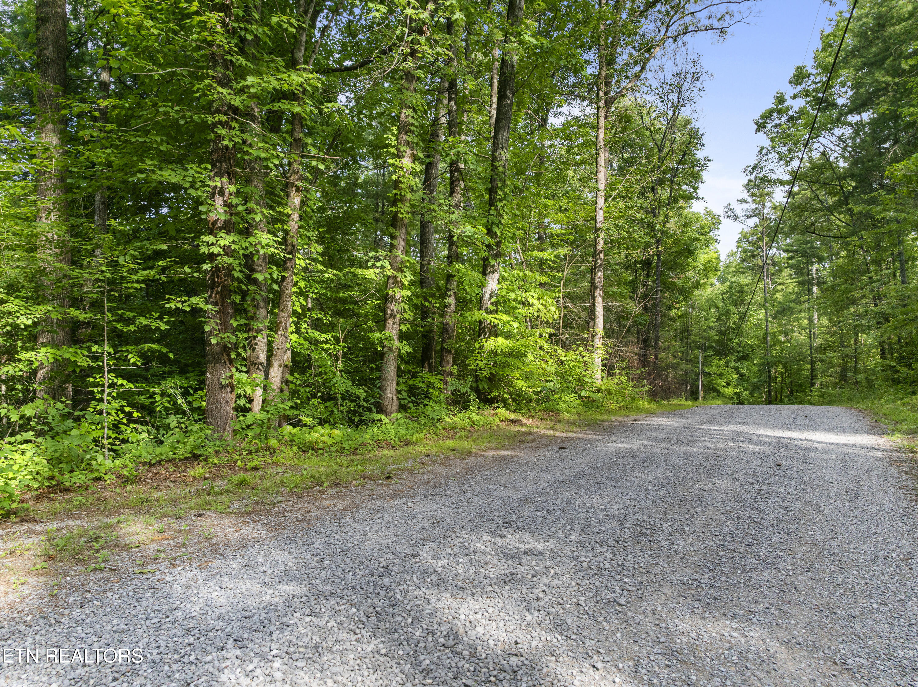 Tbd Grouse Top (lot 4) Road Walland TN 37886