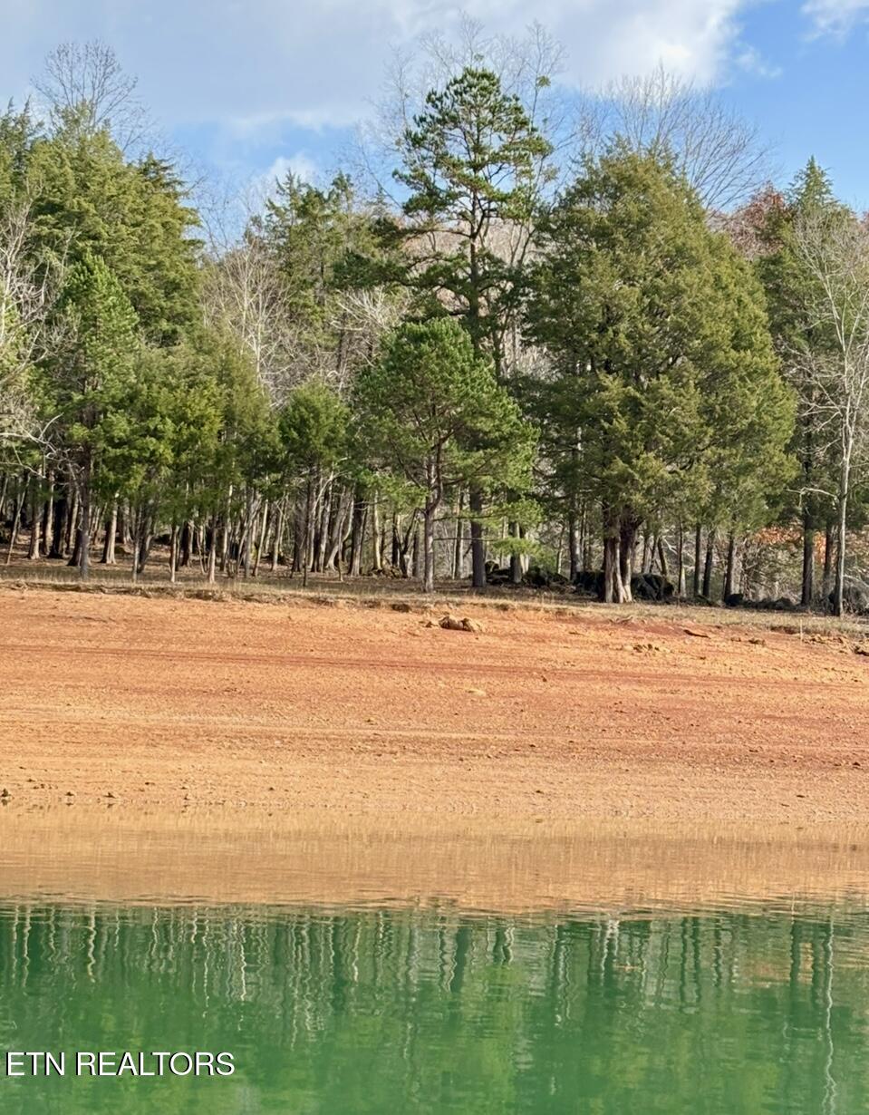 Speedwell TN, Bridle Way