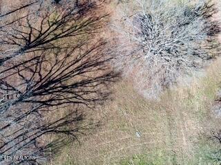 Howard Road Lafollette TN 37766