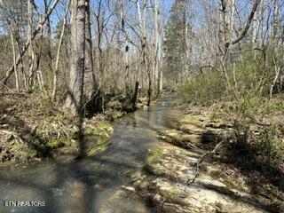 Howard Road Lafollette TN 37766