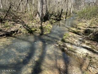 Howard Road Lafollette TN 37766