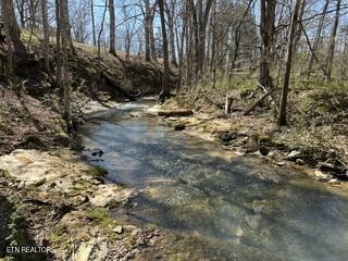 Howard Road Lafollette TN 37766