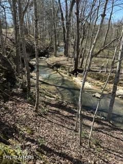 Howard Road Lafollette TN 37766