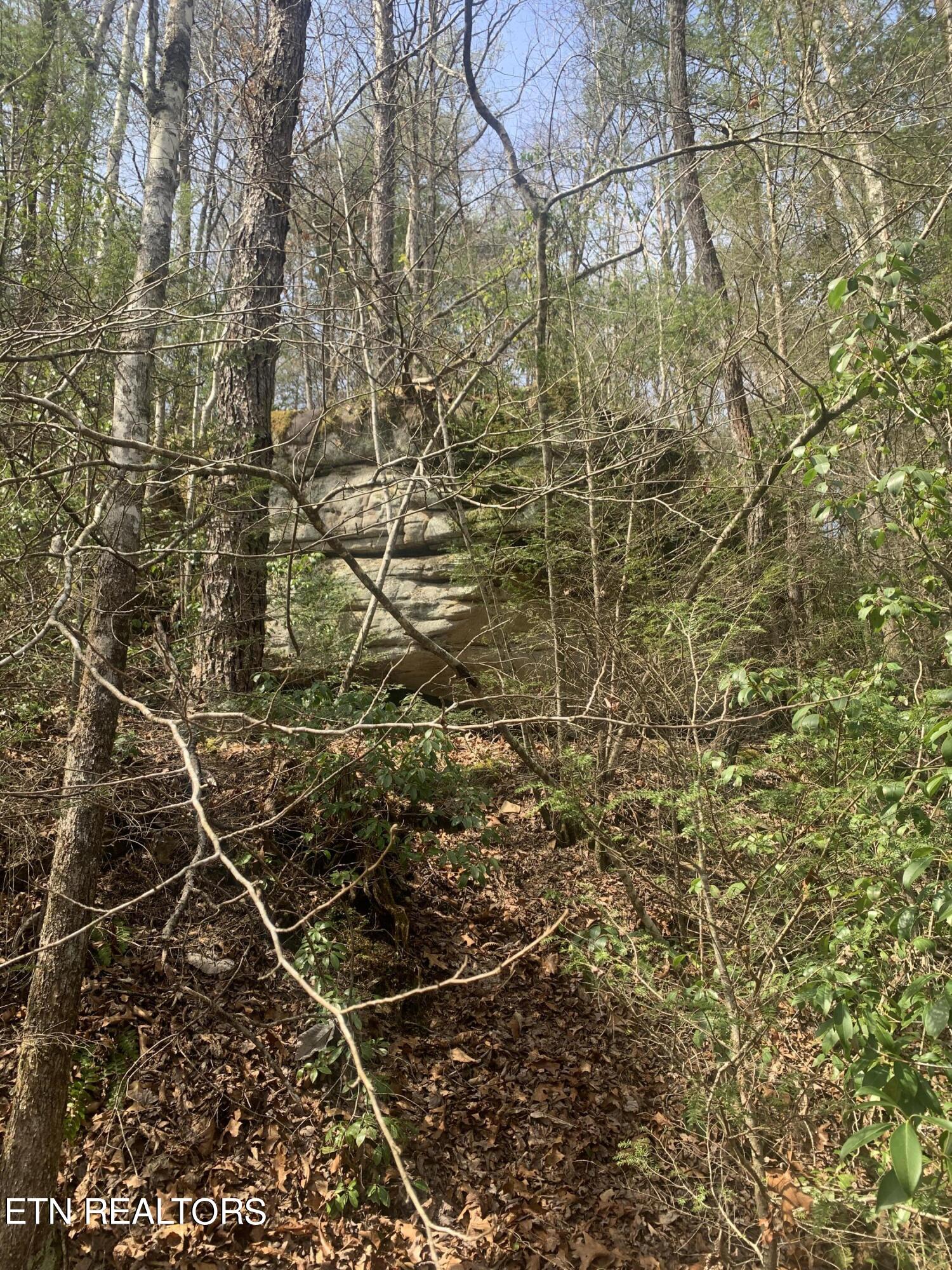 1016 West Flat Rock Road Crossville TN 38572