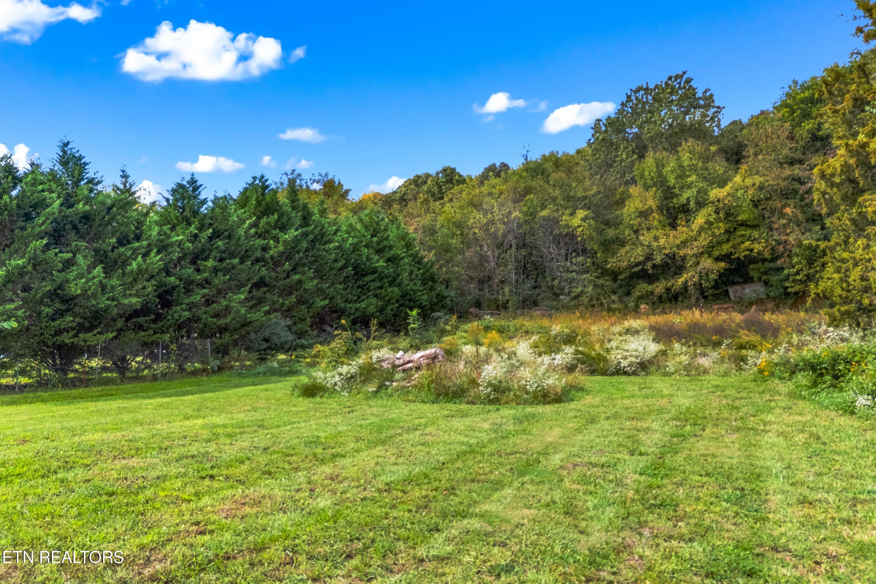 465 Livingston Road Bean Station TN 37708