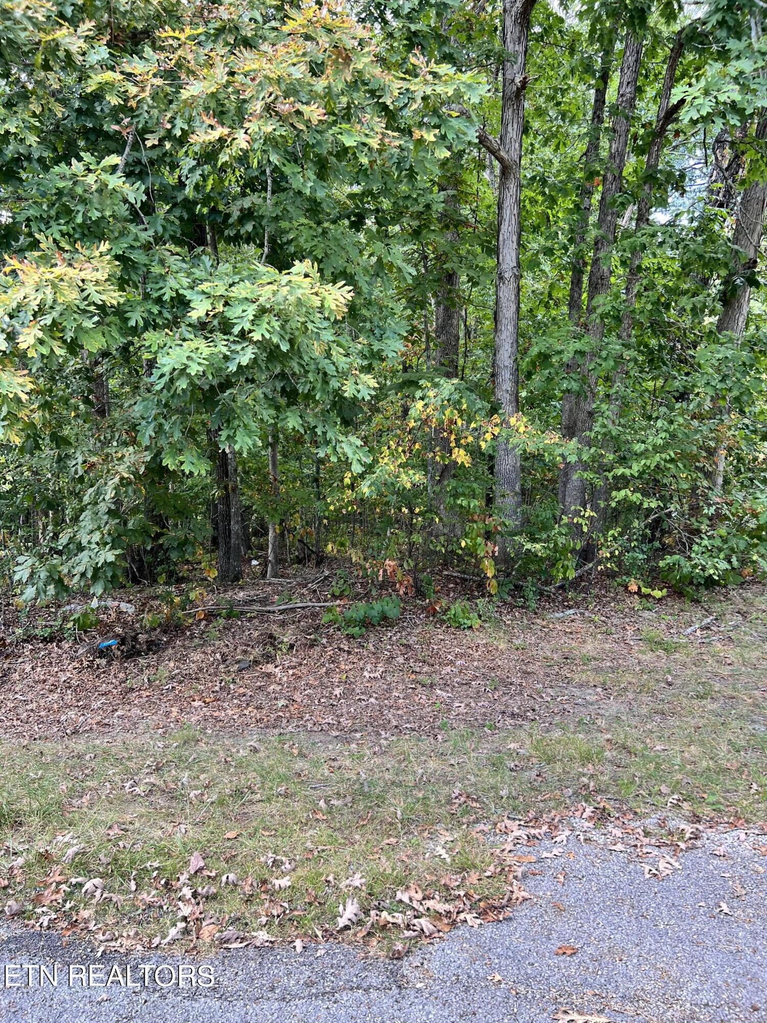 143 Shelley Lane Crossville TN 38558