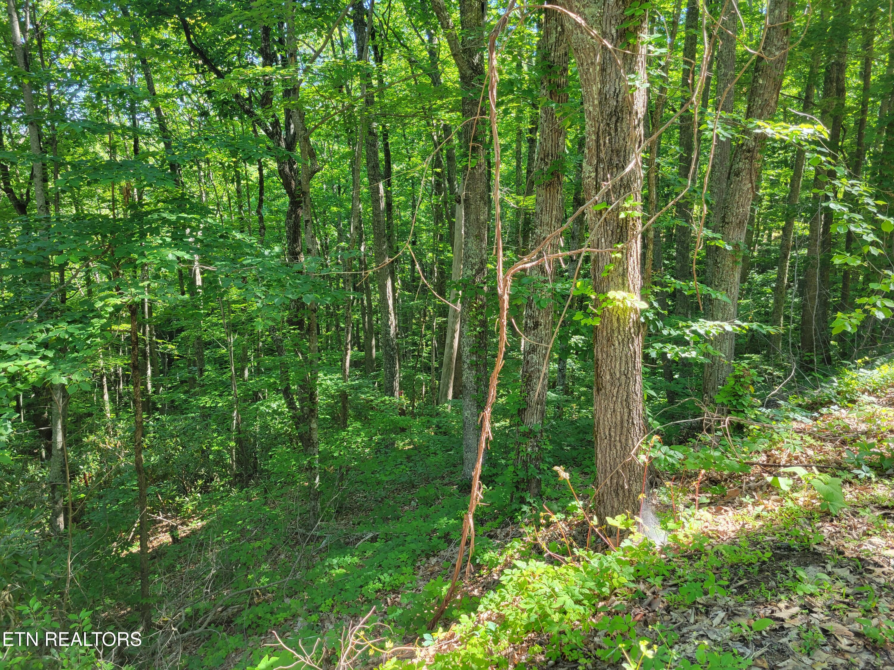 Lot 20 Sunset Drive Sevierville TN 37876
